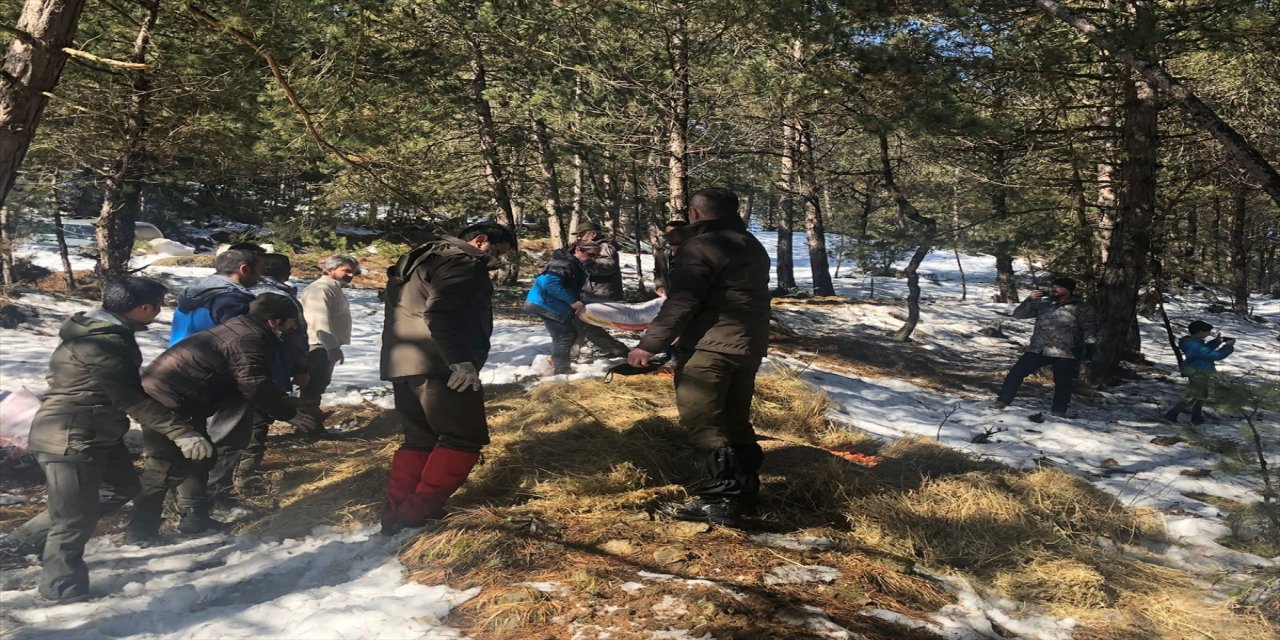 Bolu Dağı'ndaki yılkı atları ve yaban hayvanlarına yem bırakıldı