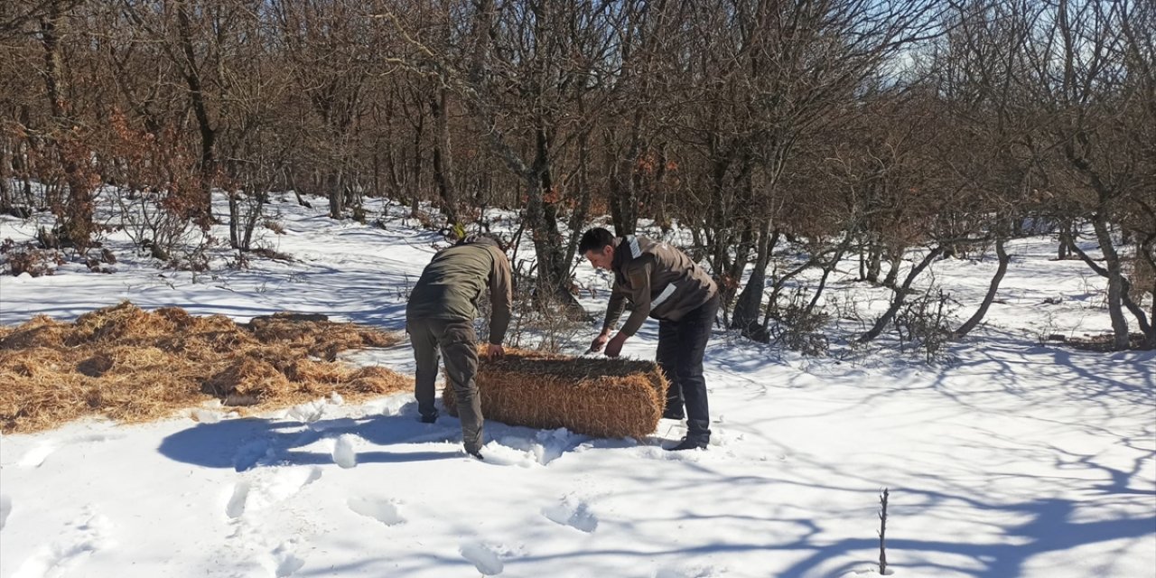 Tekirdağ'da yaban hayvanları için doğaya yem bırakıldı