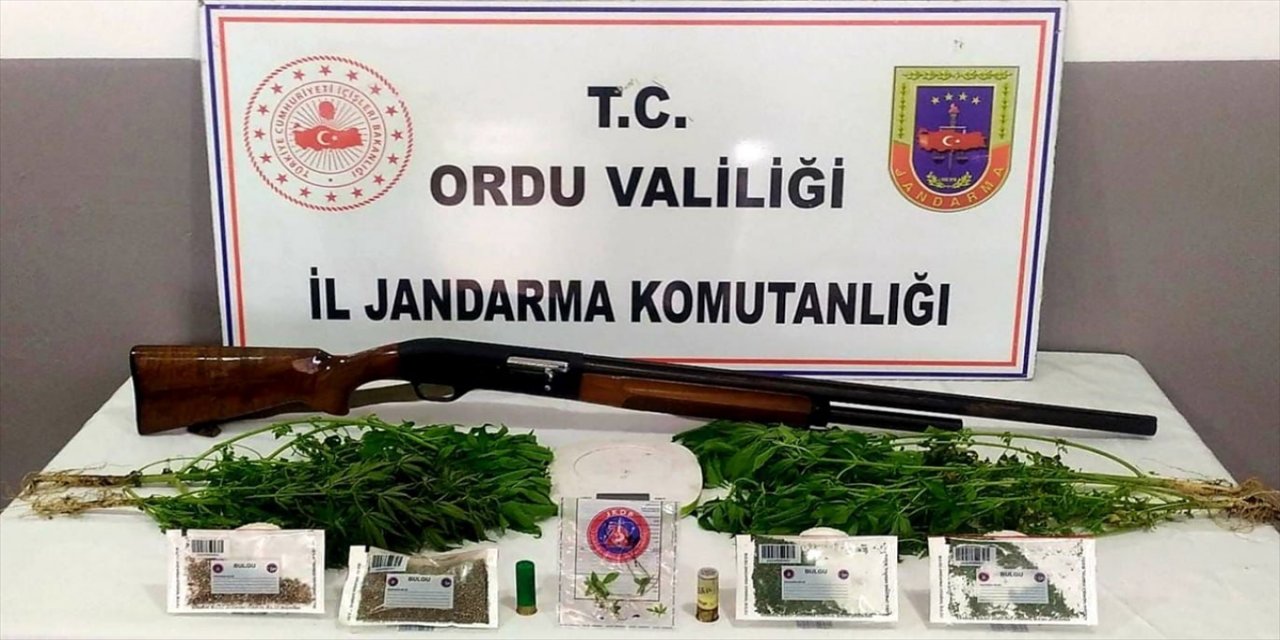 Ordu'da uyuşturucu operasyonunda 2 kişi yakalandı