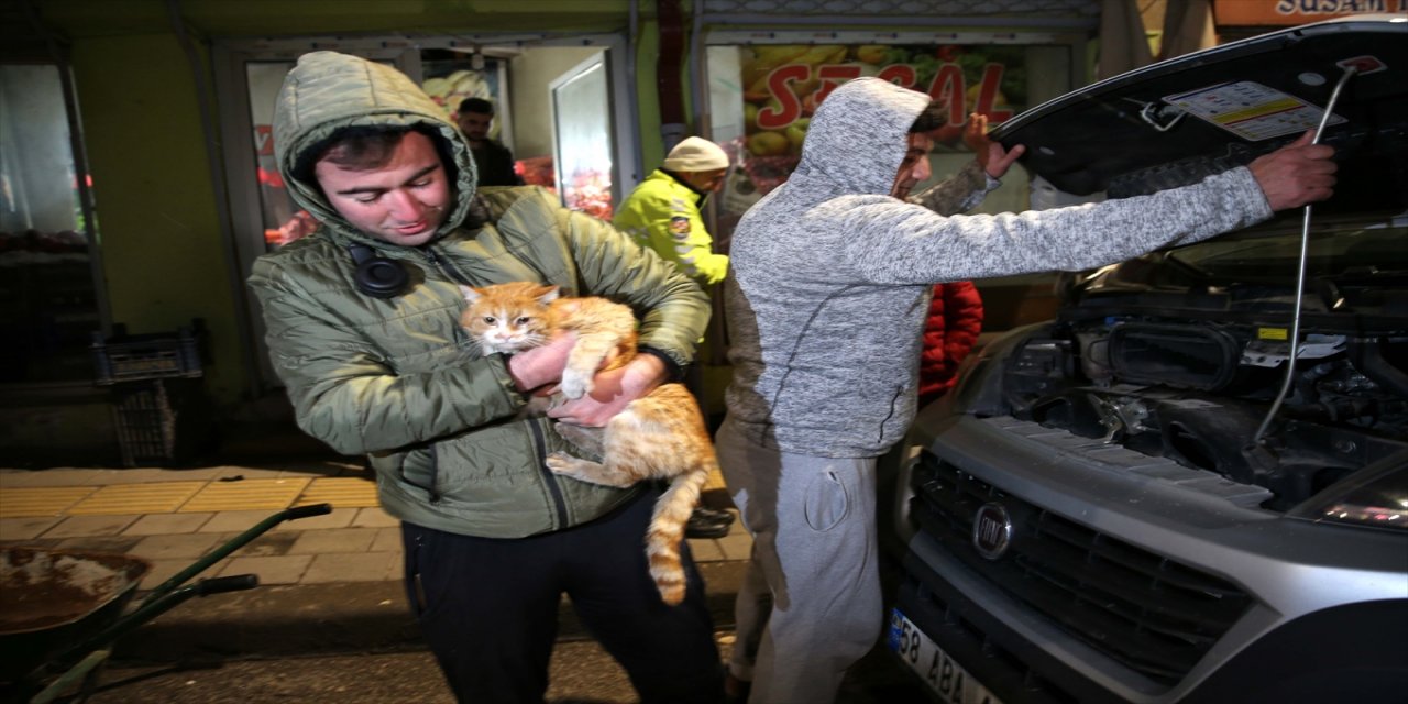 Sivas'ta veterinere götürülürken kaçarak kamyonetin motoruna sıkışan kedi kurtarıldı