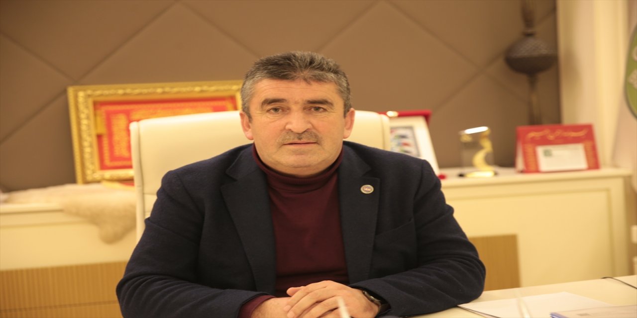 Gerede hayvan barınağında köpek ölümleri iddiası