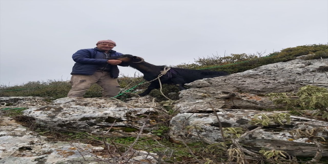 Burdur'da kayalıklarda mahsur kalan keçiyi AFAD kurtardı