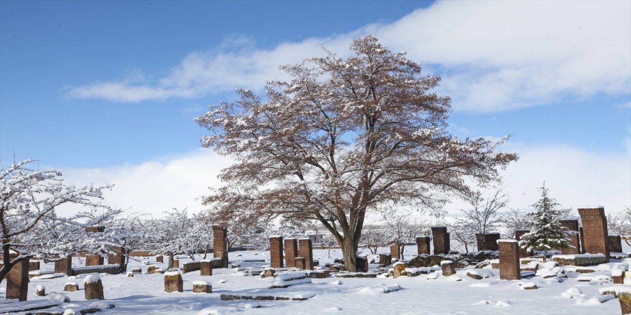 Ahlat'taki Selçuklu Meydan Mezarlığı karla kaplandı