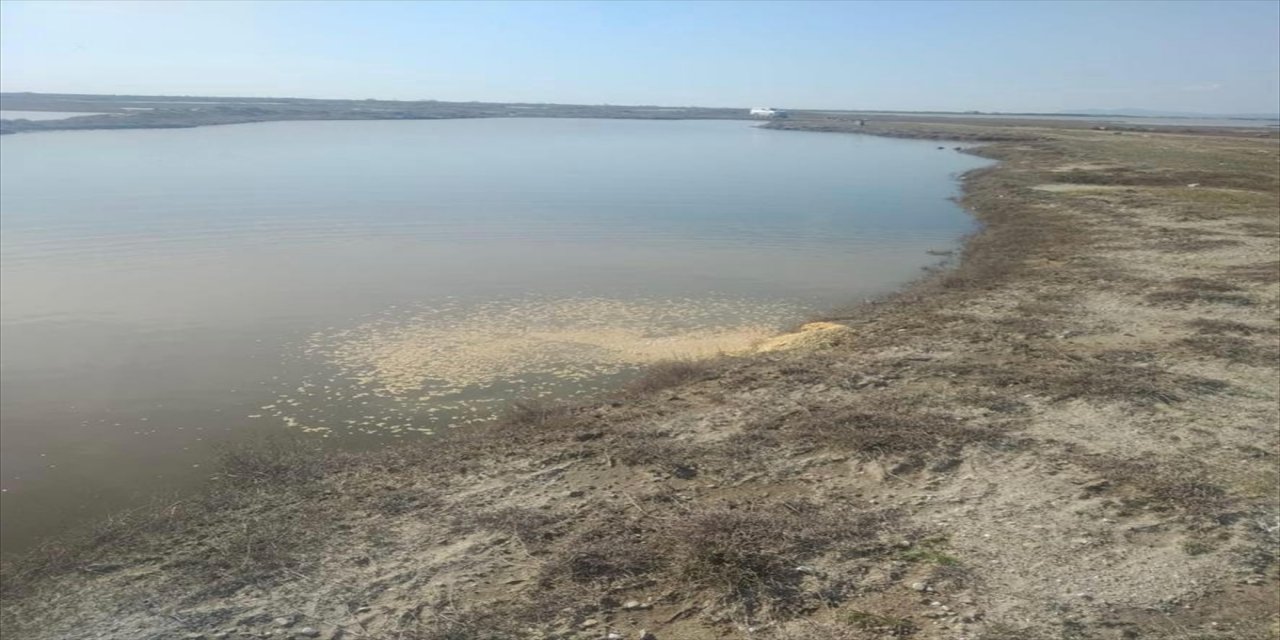 Gala Gölü'ndeki su kuşlarına yem bırakıldı