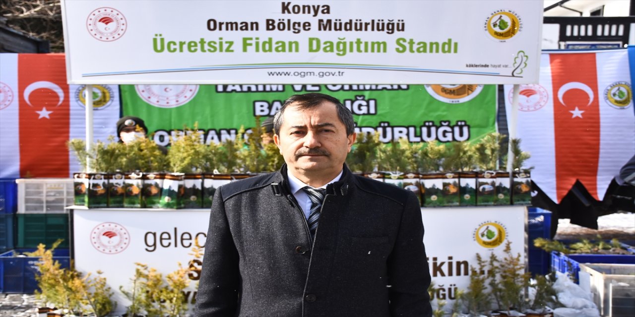 Konya'da 40 bin karaçam ve sedir fidanı dağıtıldı