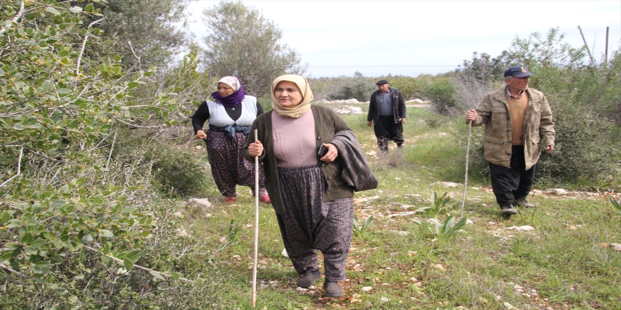 Mersin'de 4 gündür haber alınamayan kadın aranıyor