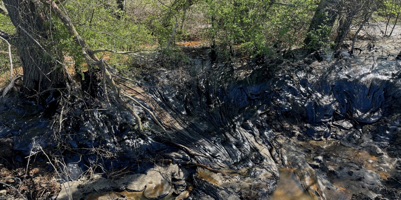 Edirne'de asfalt şantiyesinden tarlalara akan zifti temizleme çalışmaları sürdü