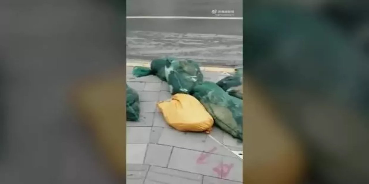 Çin'in tedbir adı altında hayvanlara yaptığı zulüm gözler önüne serildi!