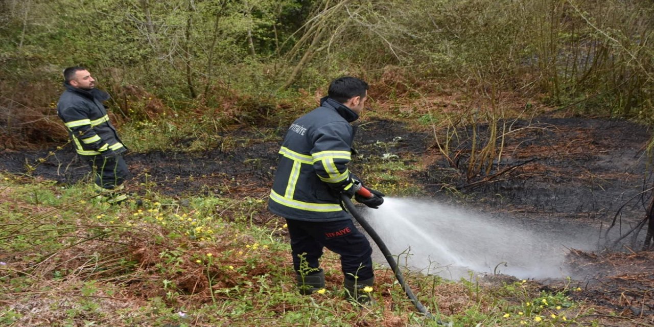Sinop'taki örtü yangınında 15 dönümlük alan zarar gördü