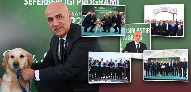 Sahipsiz hayvan sayısı 10 milyona doğru gidiyor