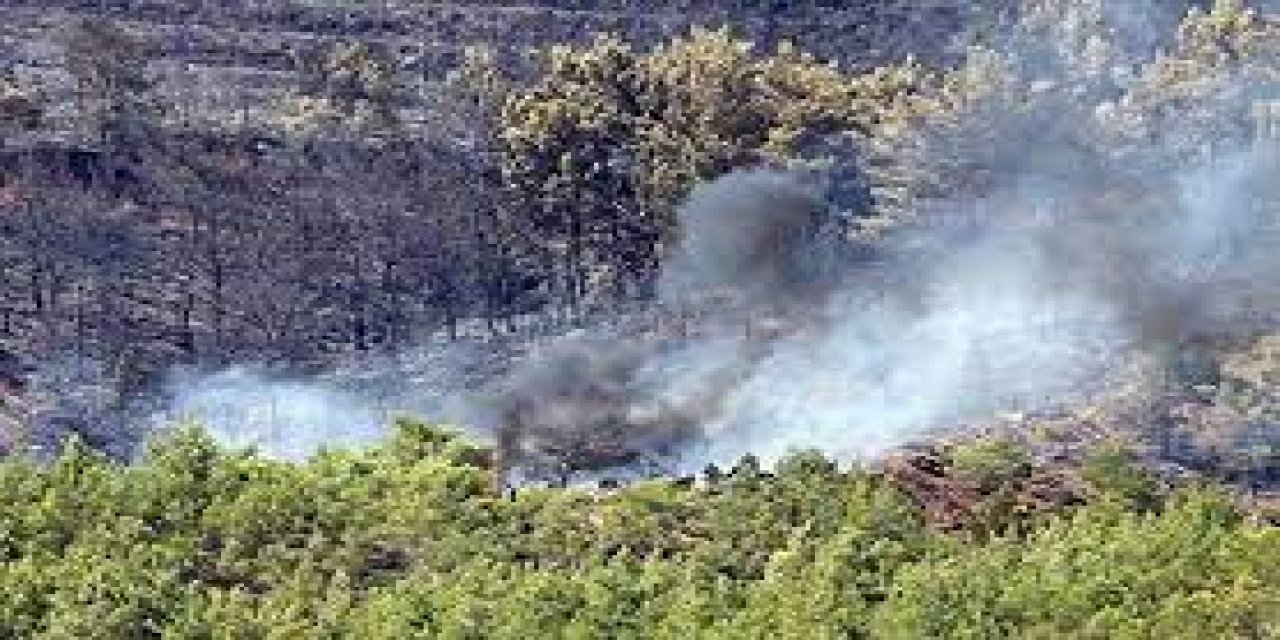 Fethiye'de yıldırım düştü yangın çıktı.