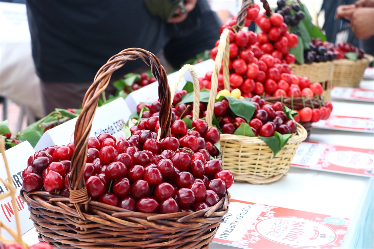 Tekirdağ'da "En İyi Kiraz" yarışması düzenlendi
