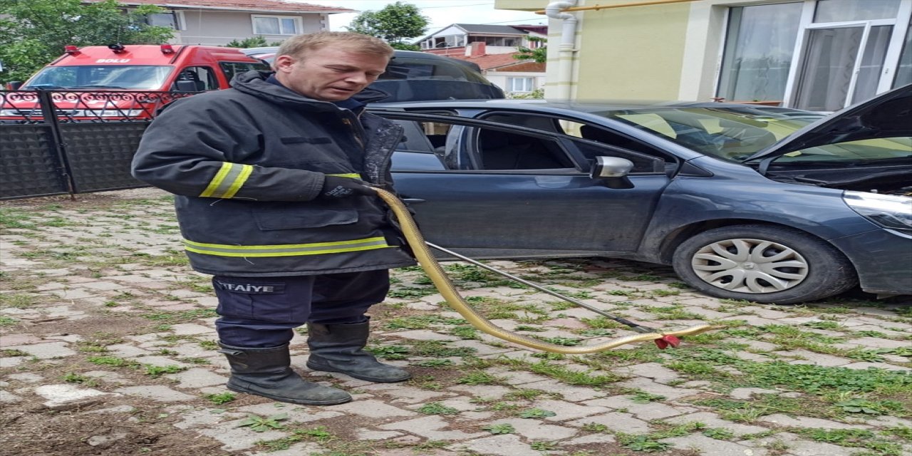 Bolu'da Arabanın tekerine yılan girdi.