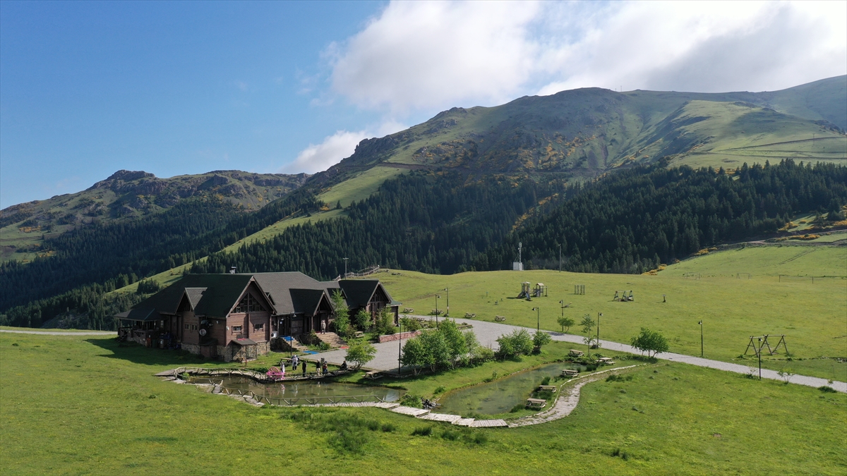 Giresun'un doğa harikası yaylalarında turizm hareketliliği başladı