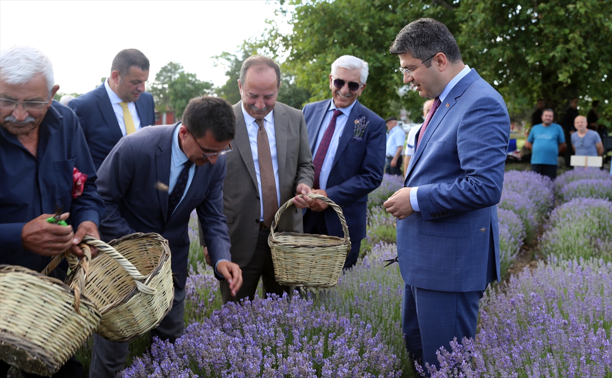 Edirne'nin "mor turizmi" Lavanta Tarla Günleri sembolik hasatla başladı