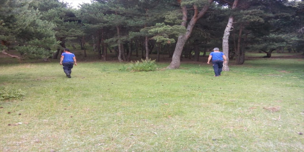 Tokat'ta mantar toplamaya giden 65 yaşındaki kişiden haber alınamıyor