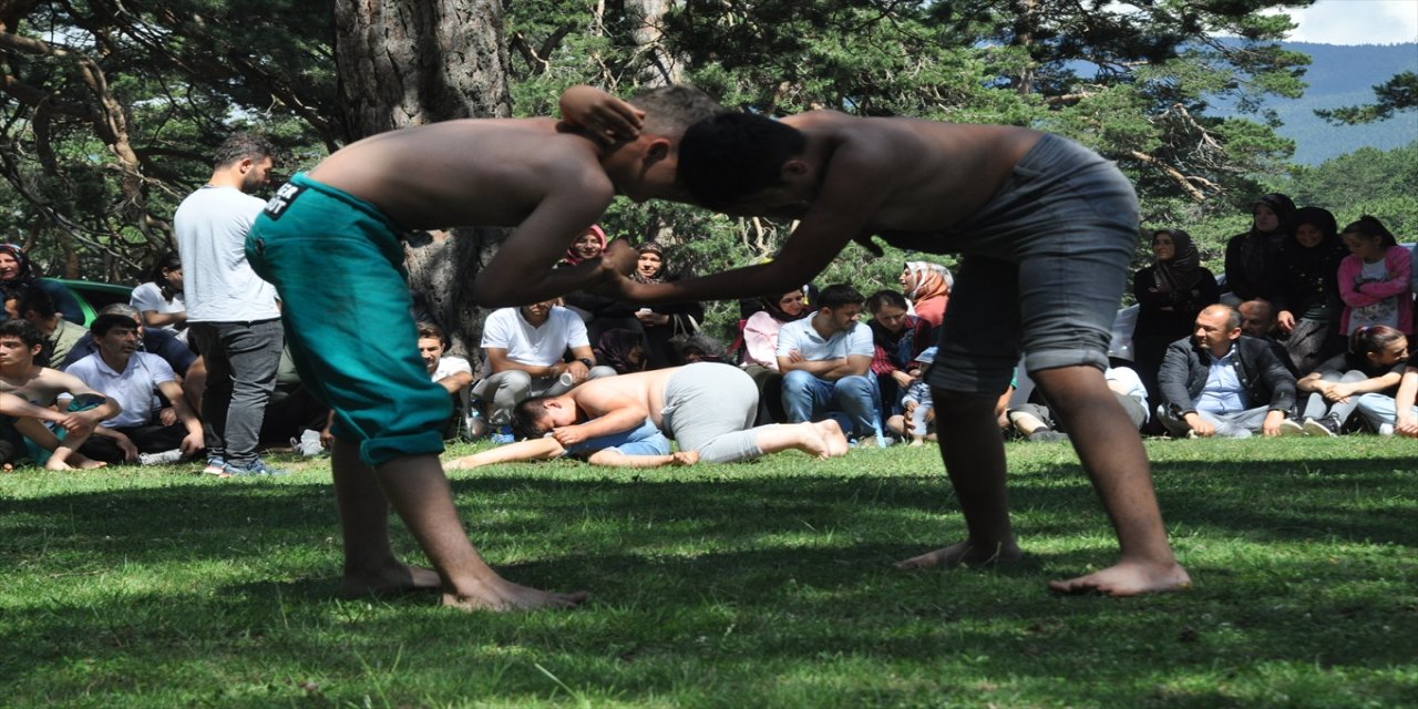 Bolu'daki güreşlerde bir sporcu ile rakibinin yakınları arasında kavga çıktı