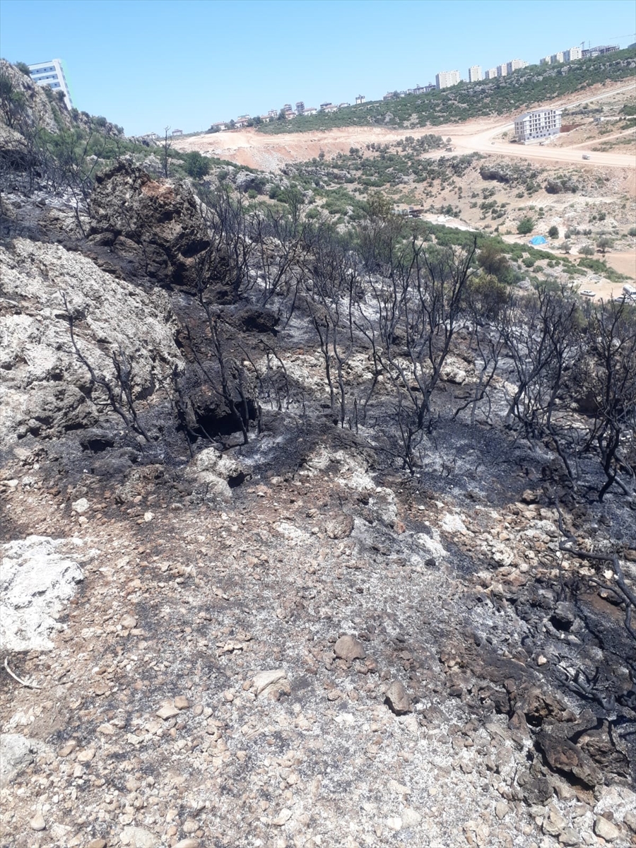 Antalya'da makilik alanda çıkan yangın kontrol altına alındı