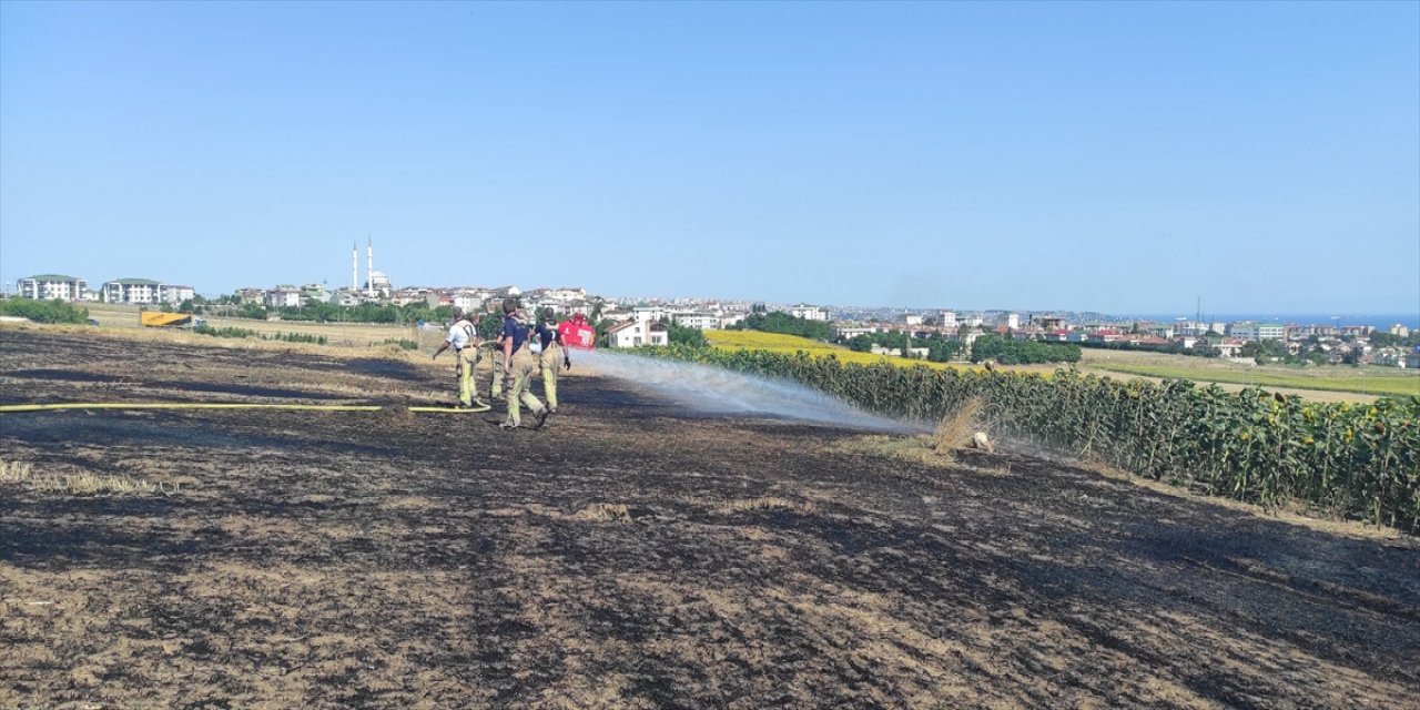 Büyükçekmece'de otluk alanda çıkan yangın söndürüldü