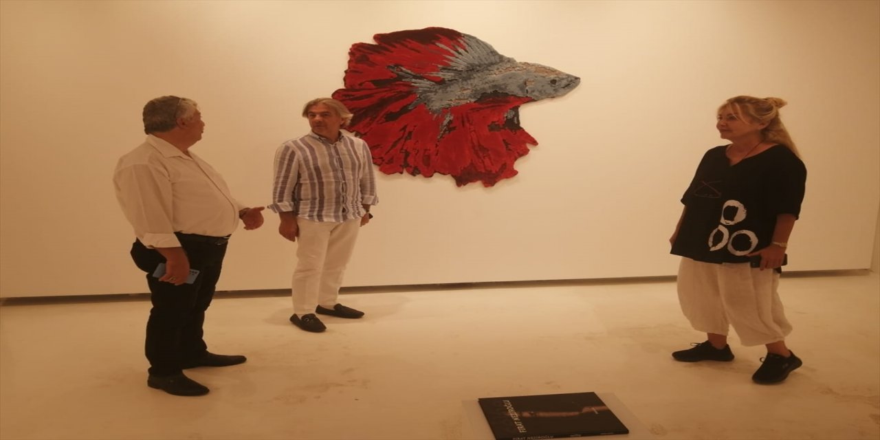 Kültür ve Turizm Bakan Yardımcısı Ahmet Misbah Demircan, Bodrum'da incelemelerde bulundu