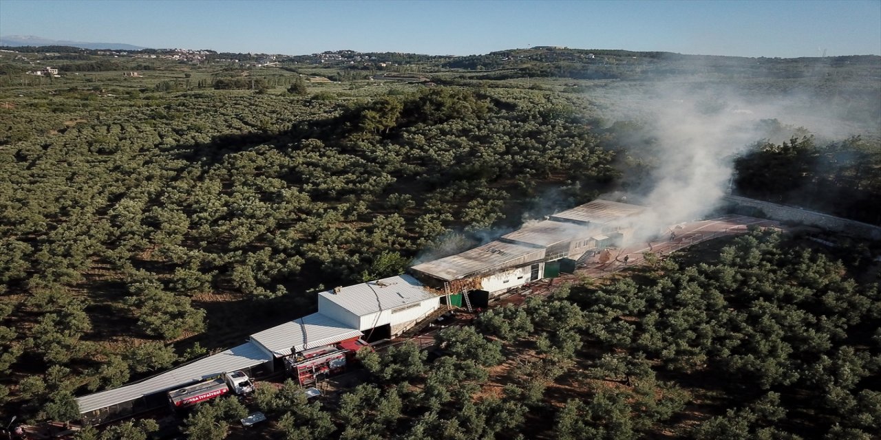 Bursa'da çiftlikte çıkan yangında çok sayıda tavuk ve koyun telef oldu