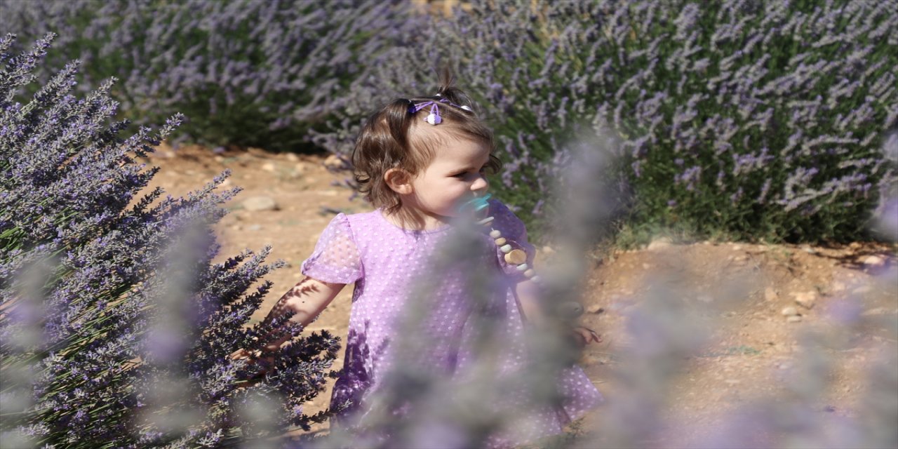 Isparta'da "lavanta kokulu köy"de hafta sonu yoğunluğu