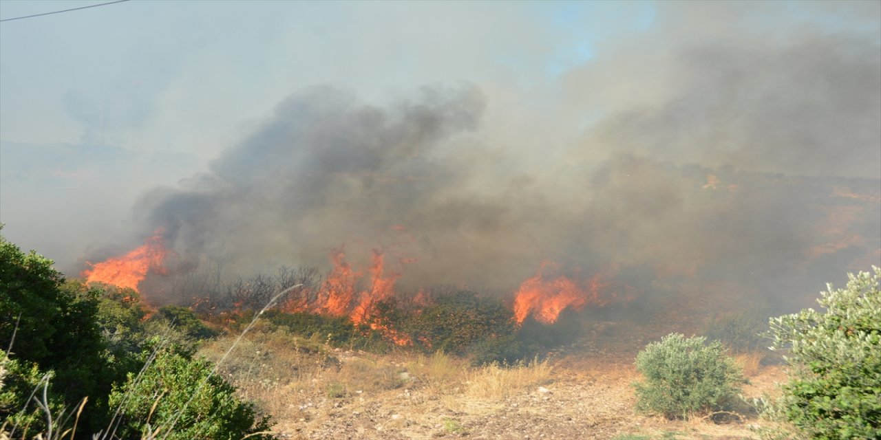 Aydın'da makilik alanda çıkan yangın kontrol altına alındı