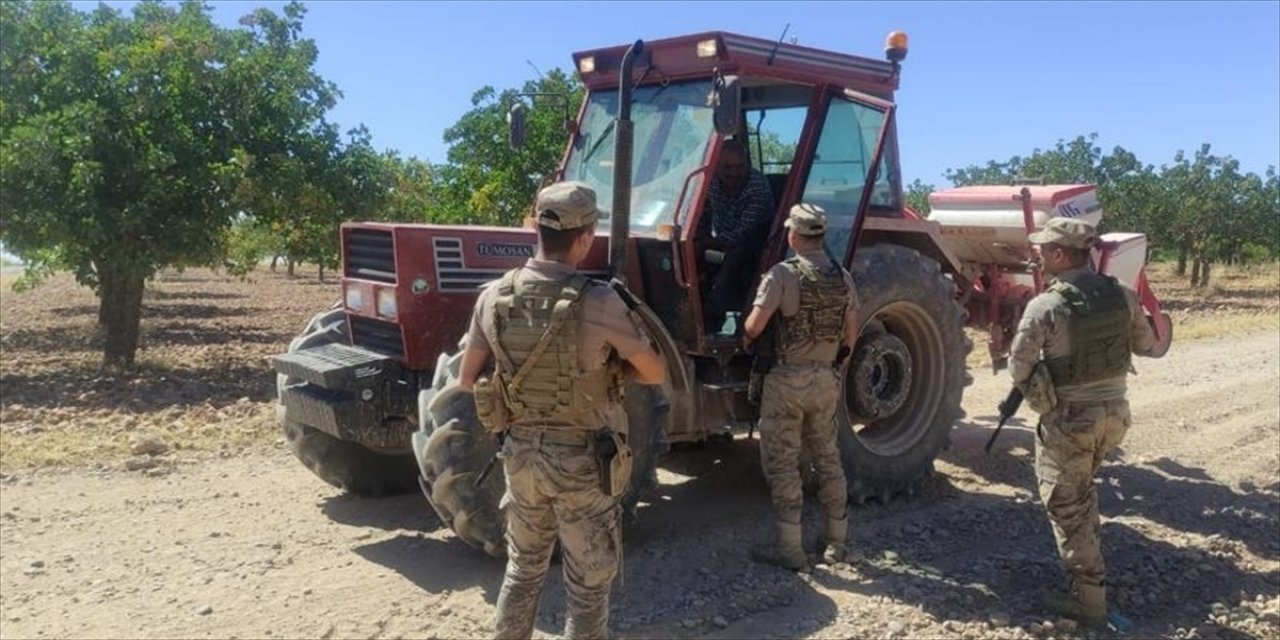 Antepfıstığı hasat dönemi için tedbirler alınmaya başlandı.