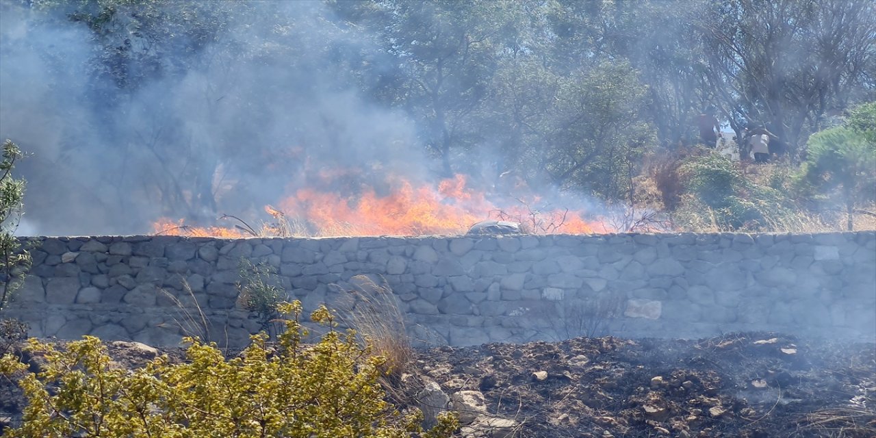 Bodrum'da binaların arasındaki çalılık alanda çıkan yangın söndürüldü