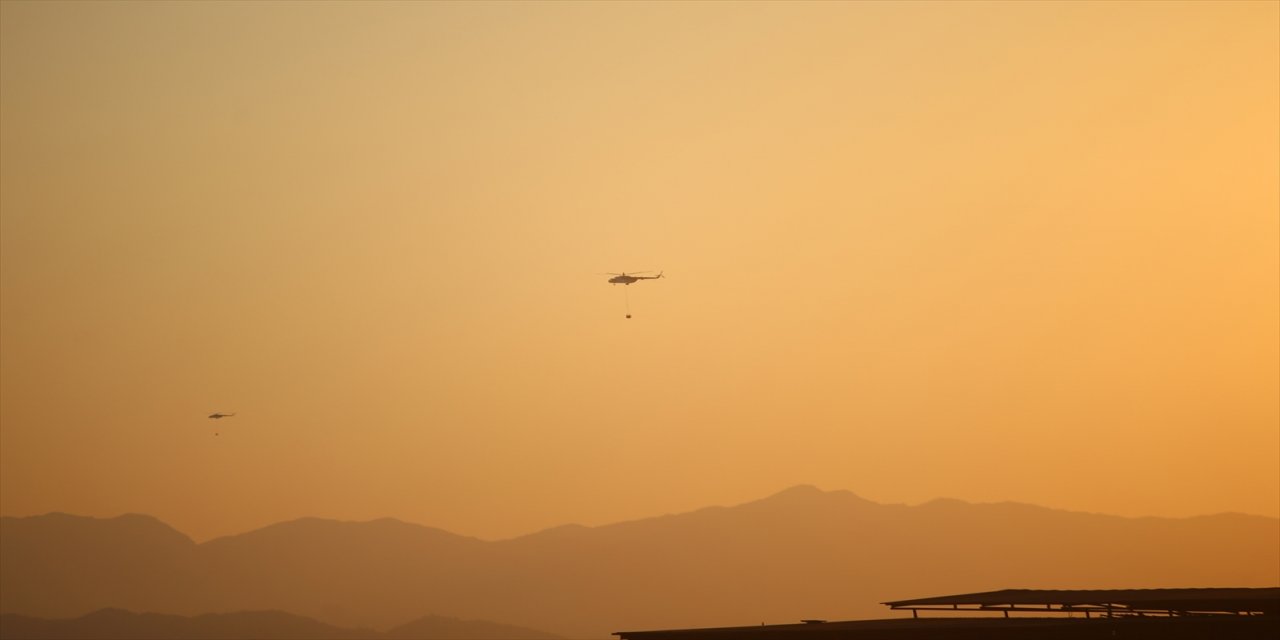 Aydın'daki Orman Yangını devam ediyor.