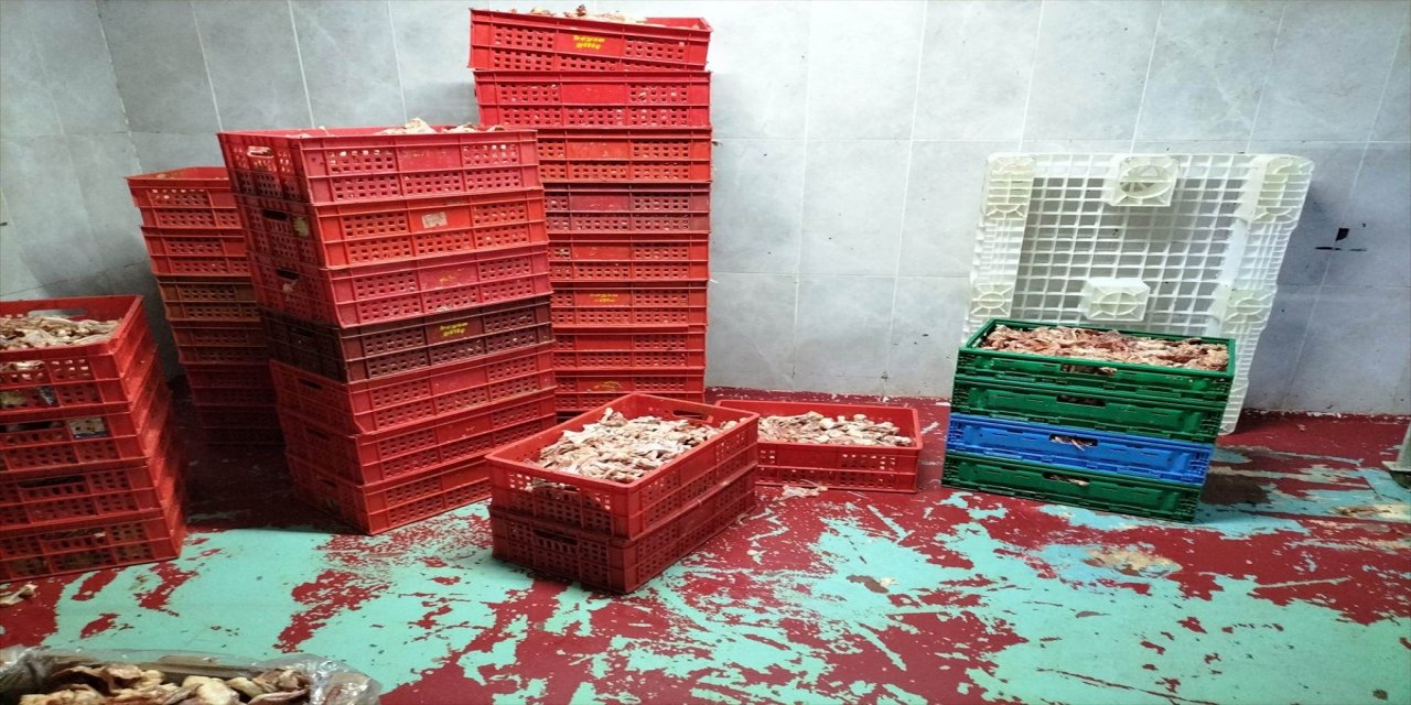 Bursa'da çok miktarda tarihi geçmiş tavuk ele geçirildi