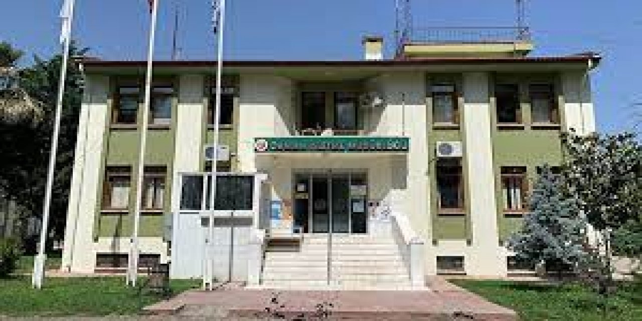 Amasya ve Zonguldak'ta Orman işletme kurulacak.