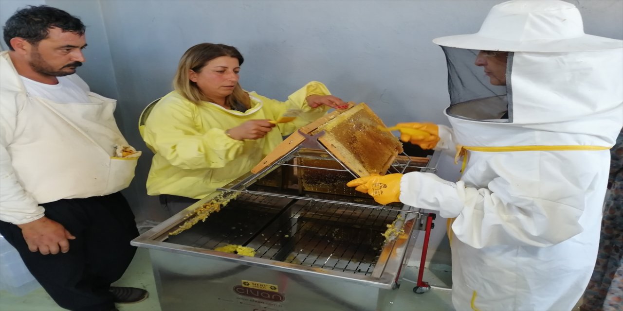 Arı evi ilk ballarını verdi.