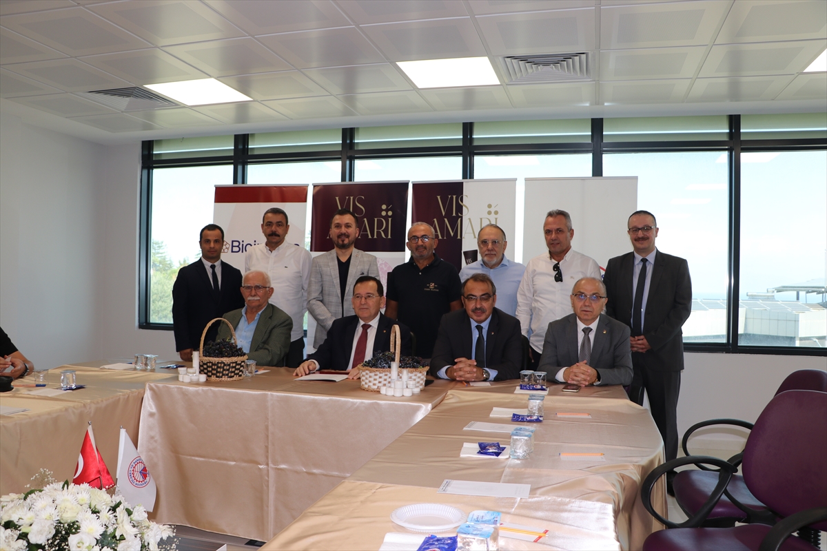 Trabzon'da isabella cinsi üzümden yapılan kremler tanıtıldı