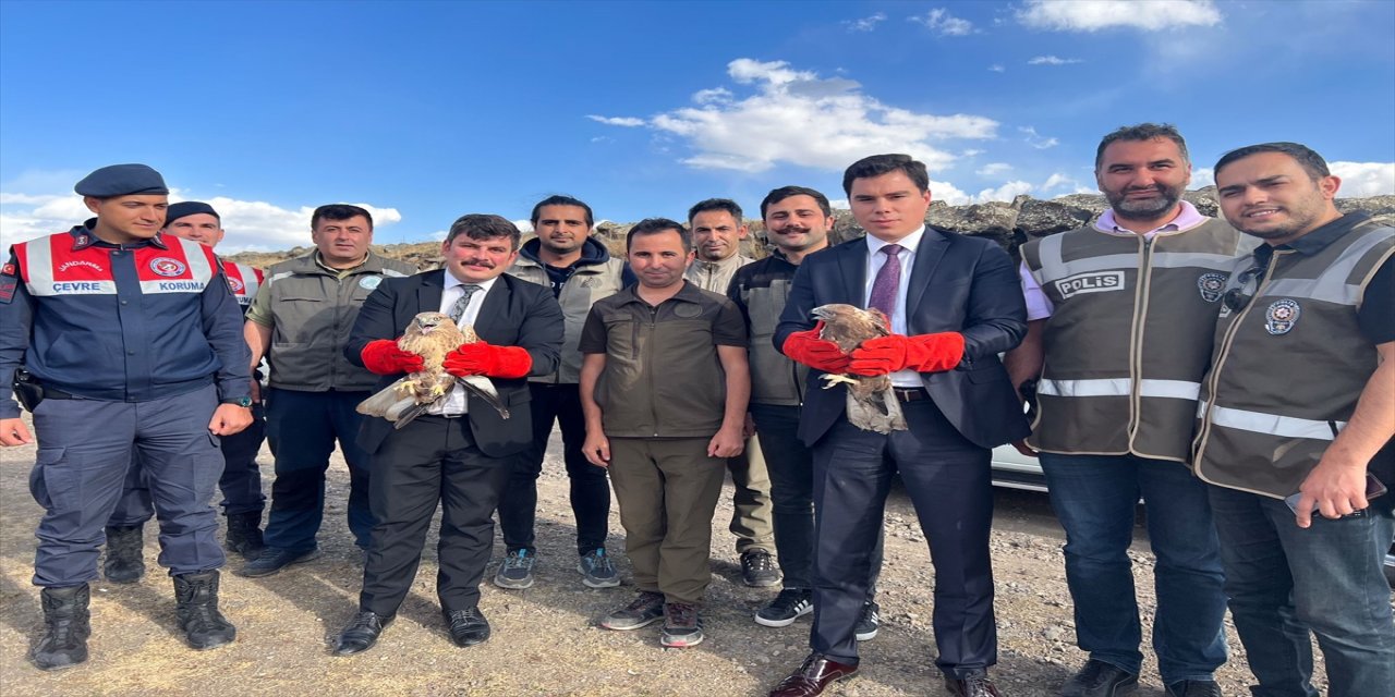 Kars'ta tedavisi tamamlanan kartal ve iki kızıl şahin doğaya bırakıldı