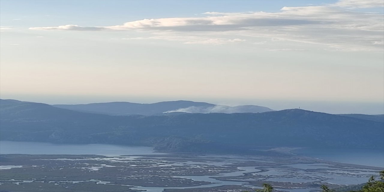 Muğla'da çıkan orman yangınına havadan ve karadan müdahale ediliyor