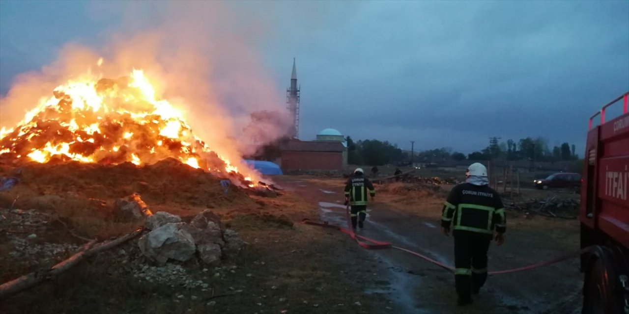 Çorum'da yıldırım düşmesi sonucu çıkan yangında 900 saman balyası yandı