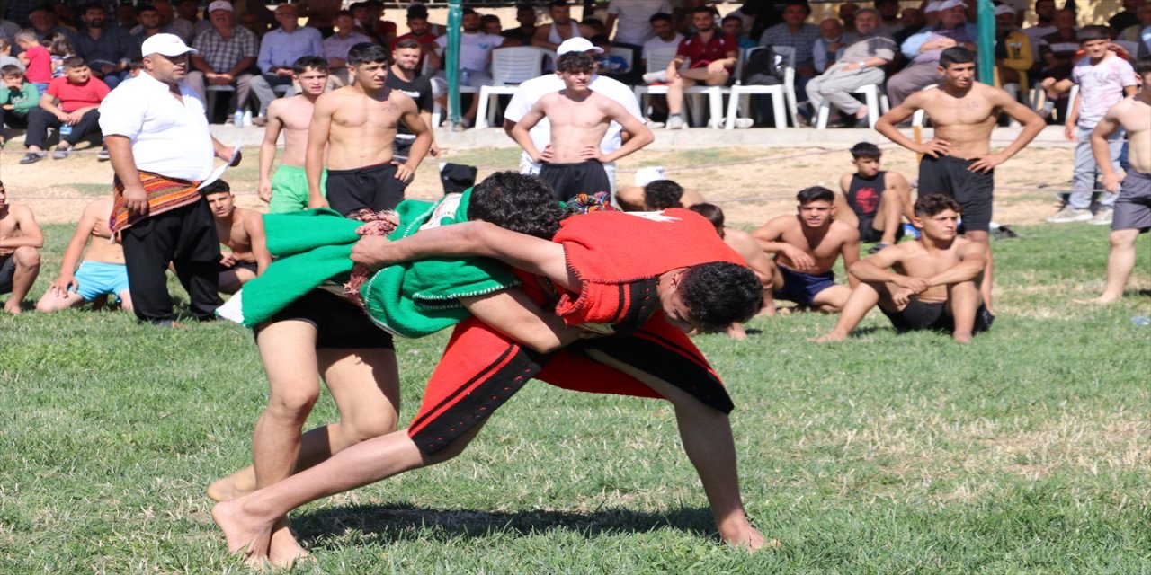 Gaziantep'te 12. Geleneksel Nar, Kültür ve Sanat Festivali başladı.