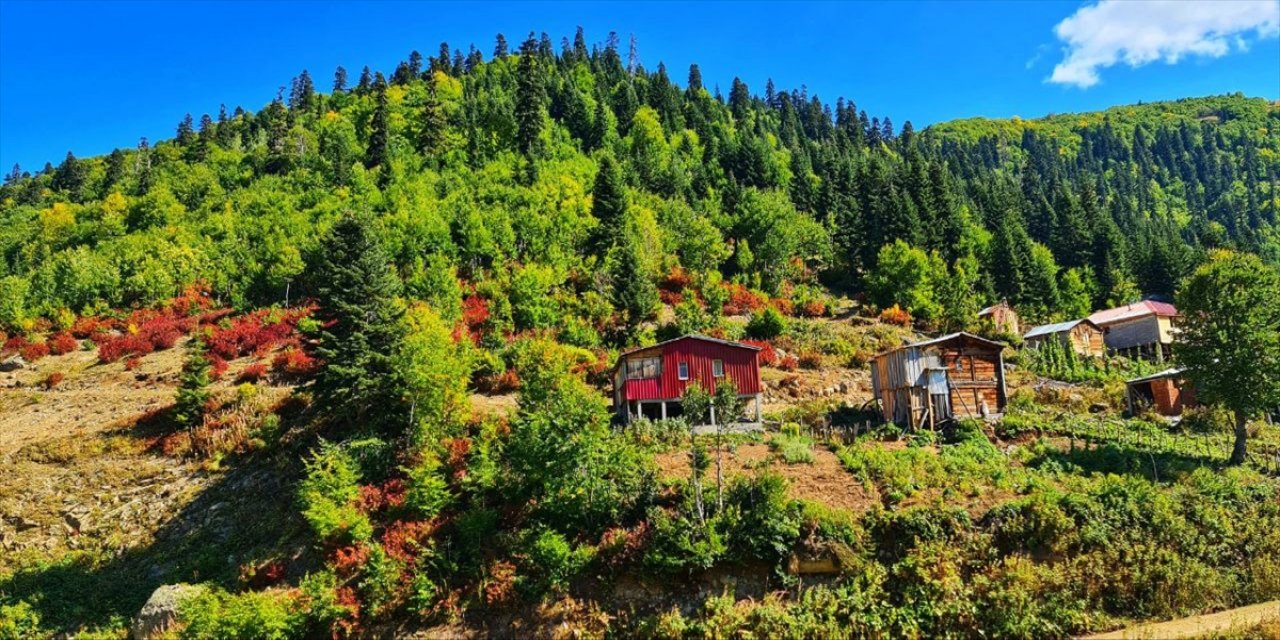 Artvin Macahel'e sonbaharın geldiği renklerden anlaşılıyor.