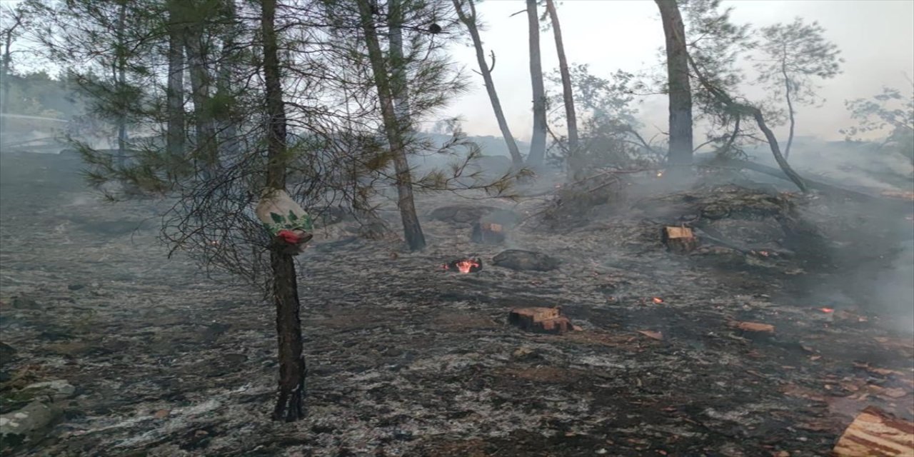 Adana'da çıkan orman yangını itfaiye ekiplerince söndürüldü.