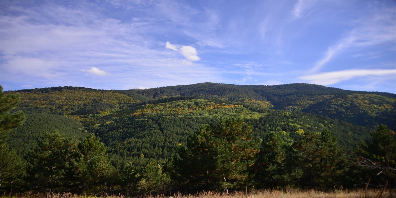 Murat Dağı sonbahar renklerine büründü