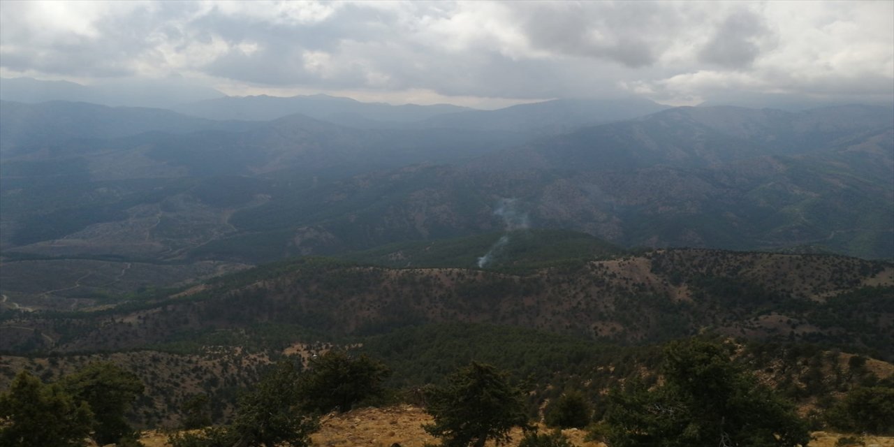 Adana'da yıldırım düşmesi sonucu ormanlık alanda çıkan yangın söndürüldü