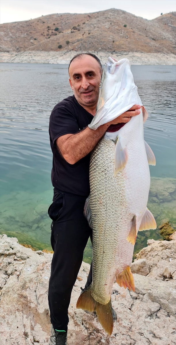 Amatör balıkçı olta ile 1,5 metre uzunluğunda turna balığı tuttu