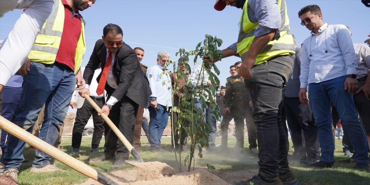 Kerkük'te ağaçlandırma kampanyası başlatıldı