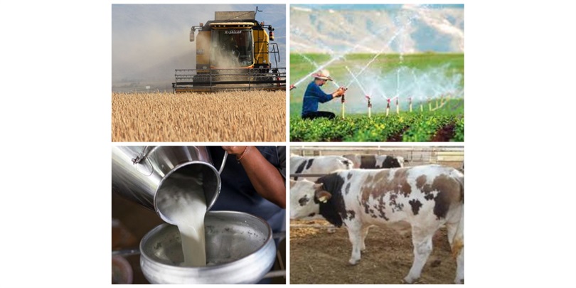 YAKLAŞIK 1,4 MİLYAR LİRALIK TARIMSAL DESTEKLEME ÖDEMESİ HESAPLARDA