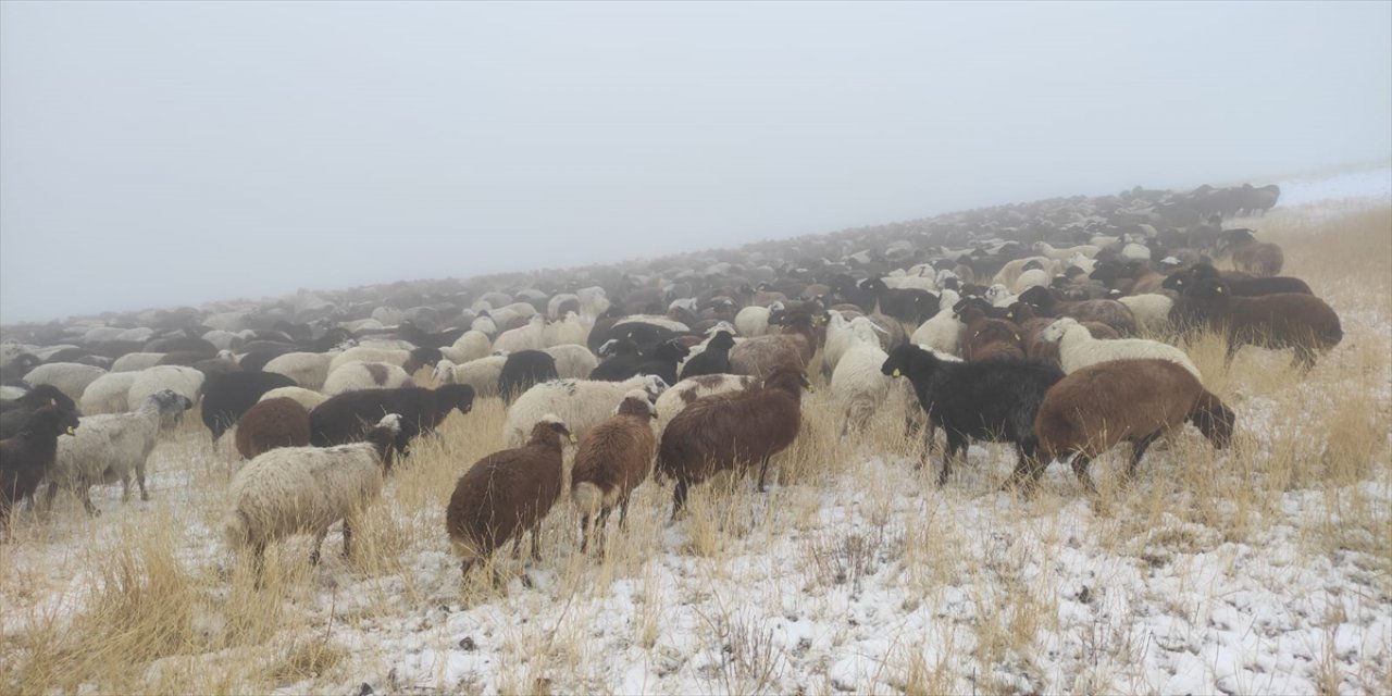 Ağrı'da etkili olan kar ve sis hayatı zorlaştırıyor.