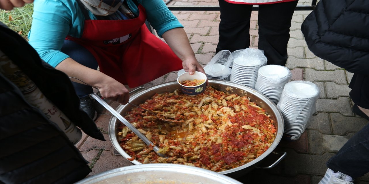 Muş'ta Kelem festivali düzenlendi.