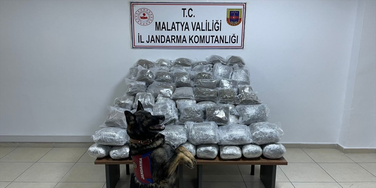 Malatya'da 83 kilo 287 gram skunk ele geçirildi