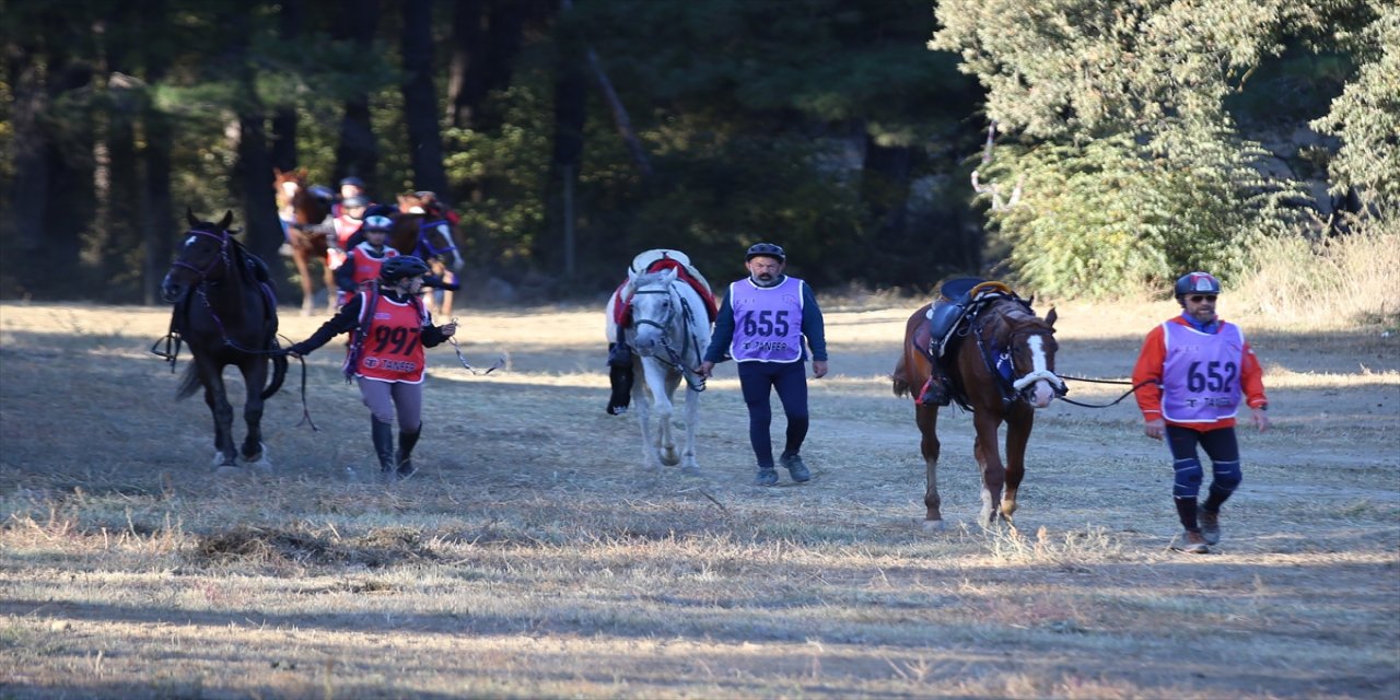 "29 Ekim Cumhuriyet Kupası Uluslararası Atlı Dayanıklılık Yarışması" Çanakkale'de yapıldı