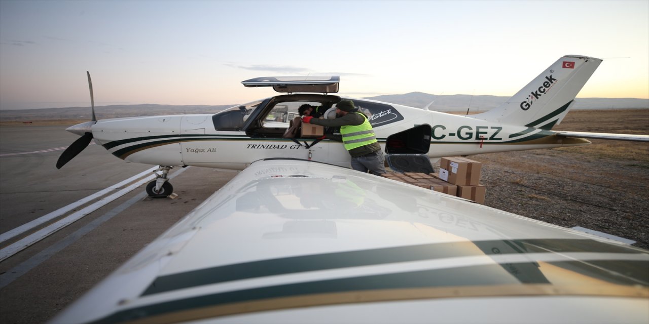 Nevşehir'de havadan aşılı yem bırakılıyor.